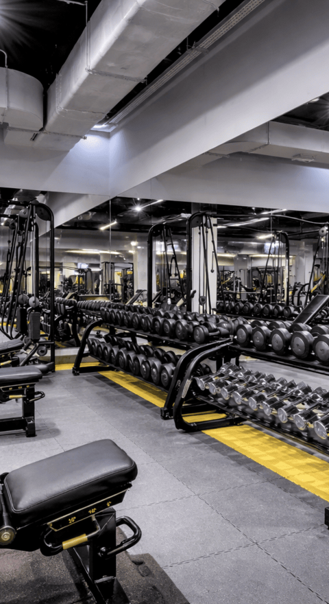 Тренажерный зал с Technogym оборудованием | GW Fitness