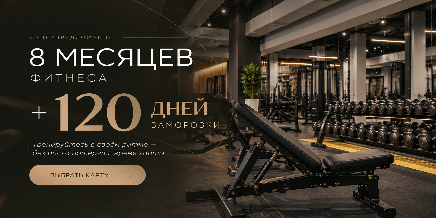8 МЕСЯЦЕВ ФИТНЕСА + 120 ДНЕЙ ЗАМОРОЗКИ